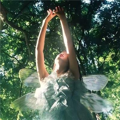 甄嬛爱不停